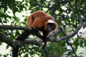 northeast of madagascar